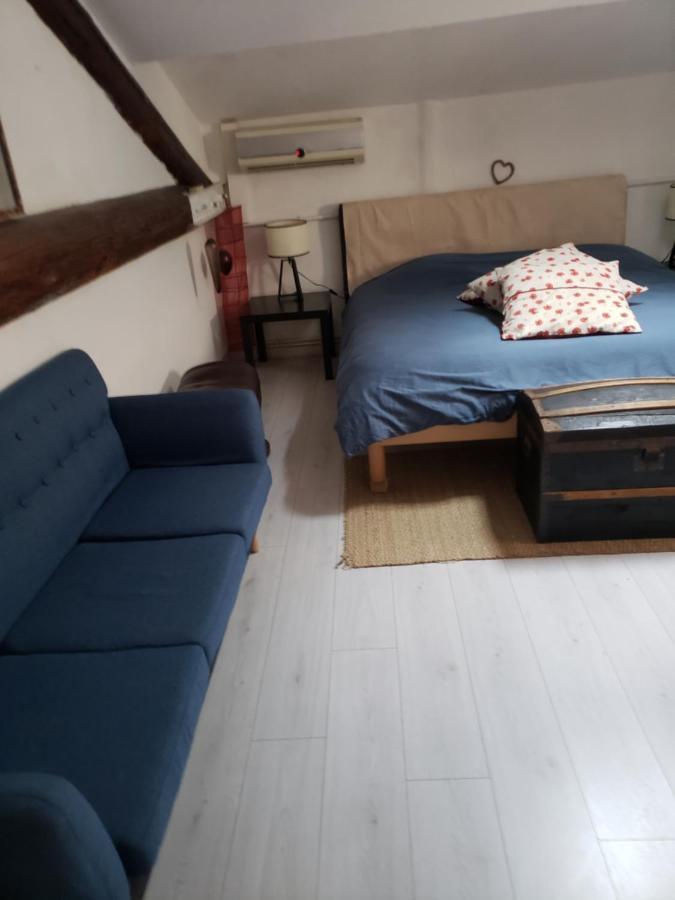 Chambre Dans Une Grande Maison Entre Canal Du Midi Et Centre Ville Безье Экстерьер фото
